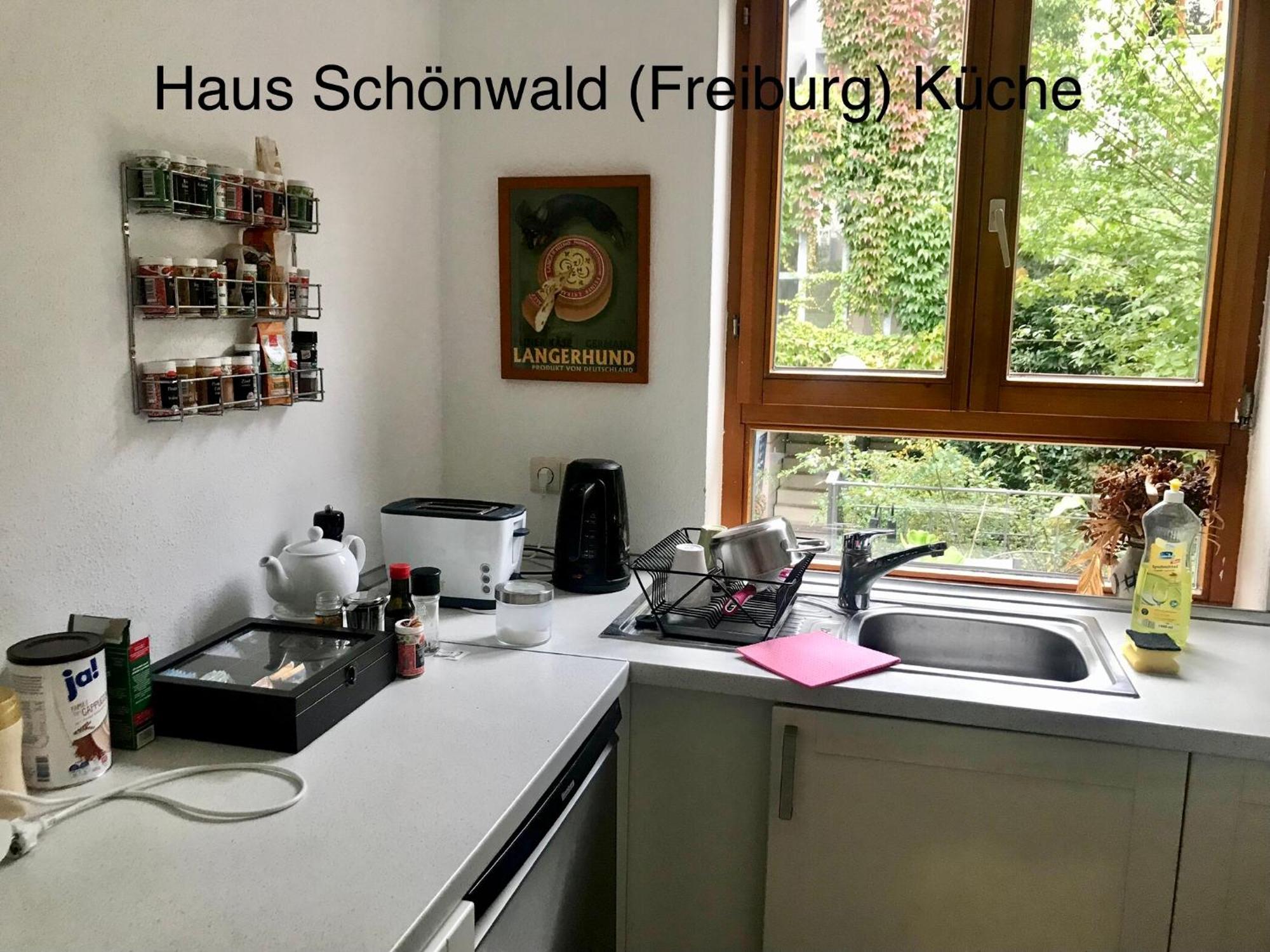 Haus Schoenwald فرايبورغ المظهر الخارجي الصورة