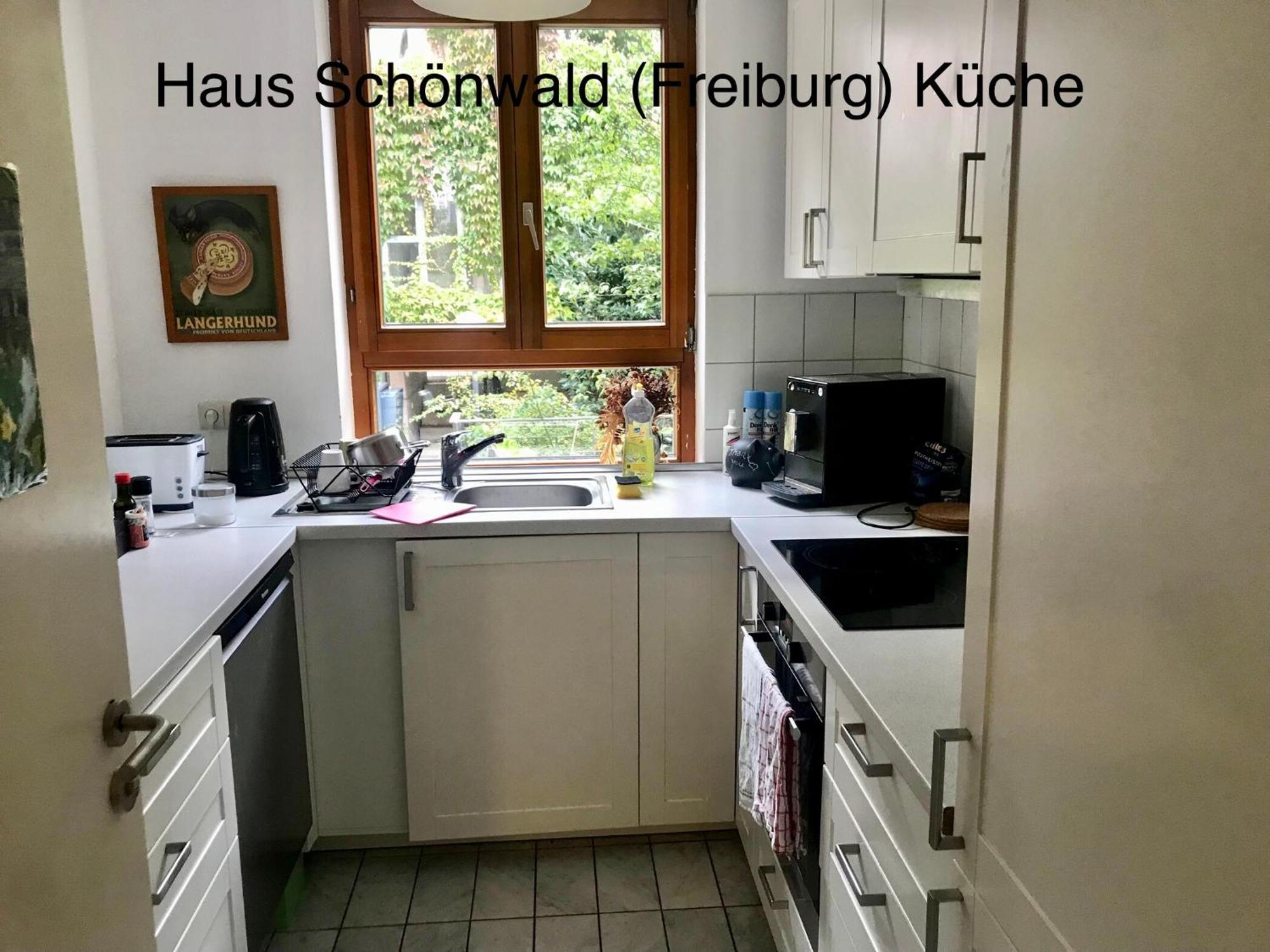Haus Schoenwald فرايبورغ المظهر الخارجي الصورة